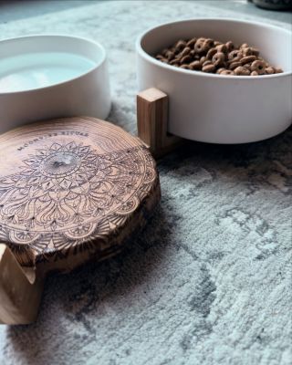 Všechno živé obsahuje vodu. V hlubokých pramenech se přirozeně vyskytuje voda více strukturovaná. Je blíže magnetickému...